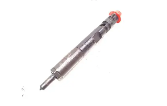 Nissan Note (E11) Fuel injector 166001137R 28232251 H8200421897