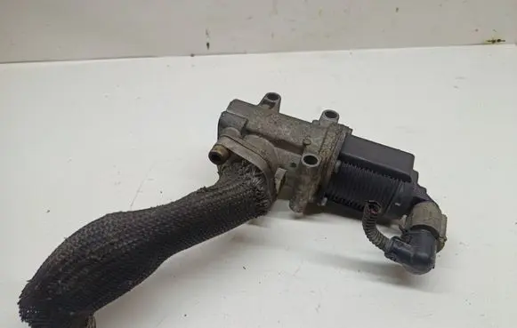 Opel Zafira B EGR valve 50024005 13T098