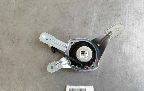 Front door speaker