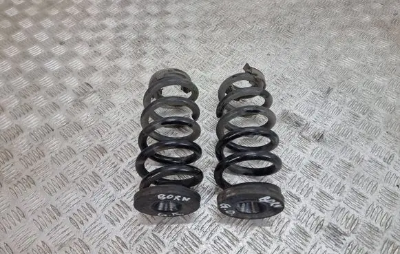 Rear coil spring