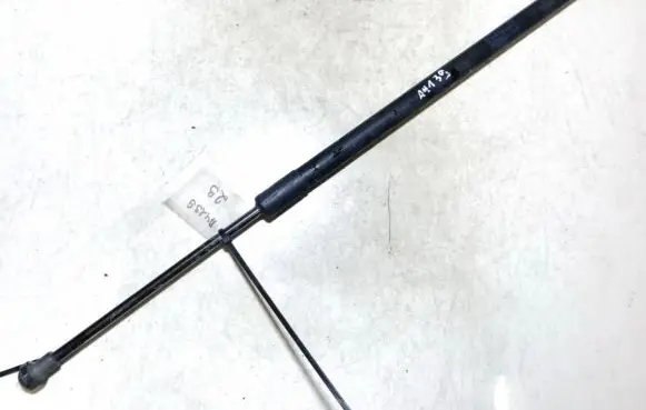 Fiat Bravo - Brava Tailgate/trunk strut/damper 904509u00c