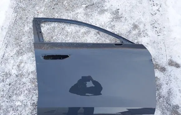 Audi A5 Front door 8B3831052