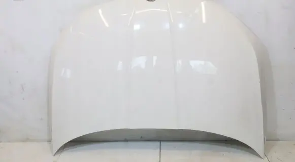 Skoda Fabia Mk3 (NJ) Engine bonnet/hood