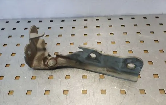 Hyundai Terracan Engine bonnet/hood hinges