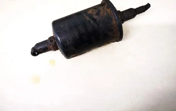 Citroen Berlingo Fuel filter 0450902161