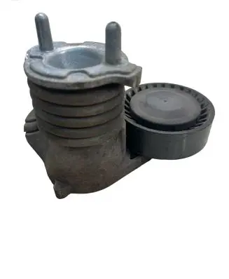 Volvo S40 Timing belt tensioner 31251654