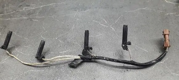 Renault Laguna II Other wiring loom