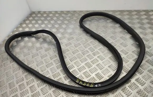 Citroen C3 Front door rubber seal