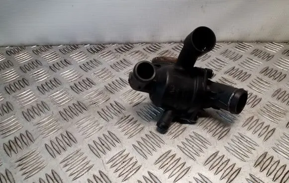 Thermostat/thermostat housing