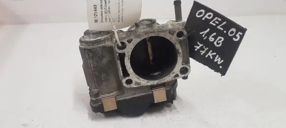 Opel Zafira B Throttle valve 024435070