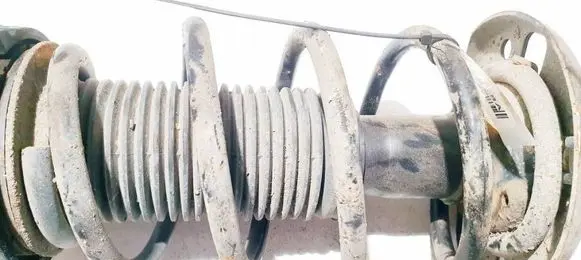 Front coil spring