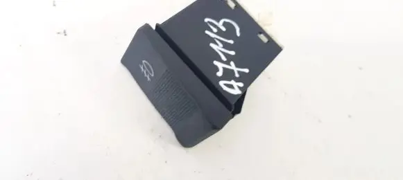 Fog light switch