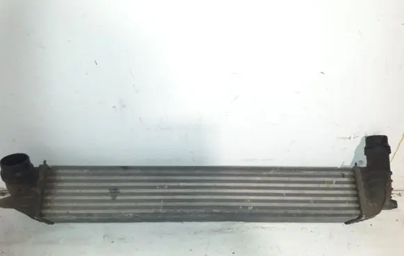 Renault Laguna III Intercooler radiator H9467002