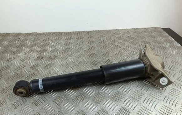 Mitsubishi Outlander IV Rear shock absorber/damper 4162A504