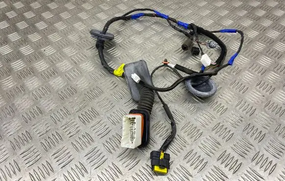 Front door wiring loom