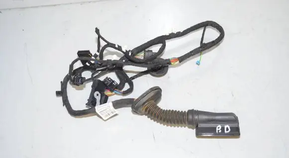 BMW 2 Active Tourer U06 Front door wiring loom 5a41111 5A41112 61125A41112