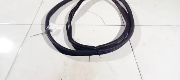 Citroen C3 Rubber seal front coupe door 