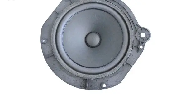 Tesla Model X Rear door speaker 105070900B