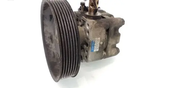 Suzuki Grand Vitara II Power steering pump 4910067J00 5Y073019