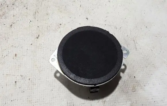 Front door high frequency speaker