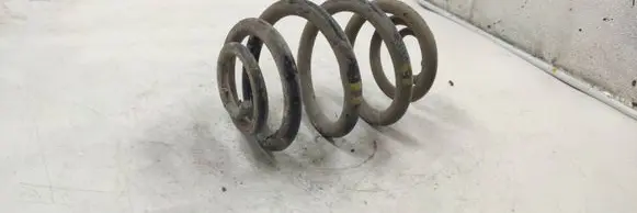 Rear coil spring
