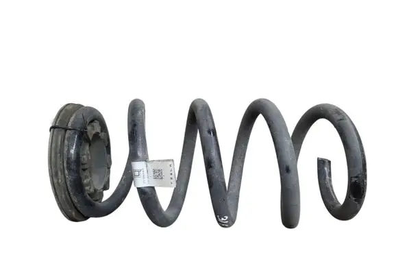 Tesla Model Y Rear coil spring 118847400B