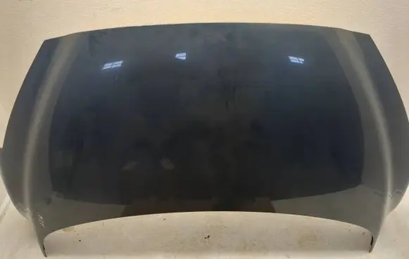 Engine bonnet/hood