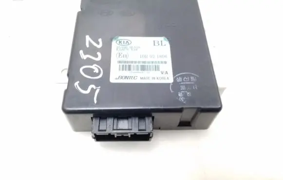 Door central lock control unit/module