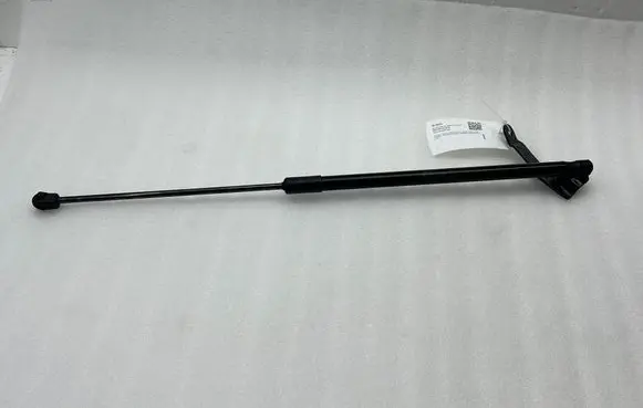 Tailgate/trunk strut/damper