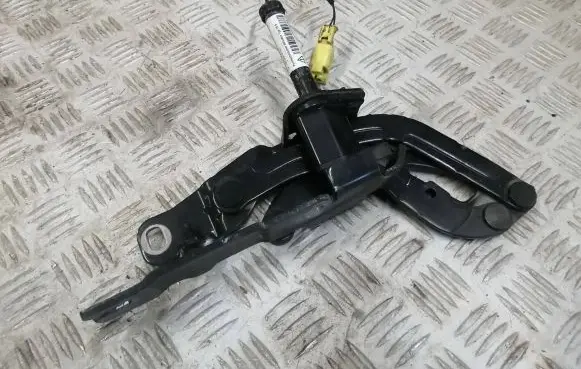Peugeot RCZ Engine bonnet/hood hinges YM17350080 4012 001D