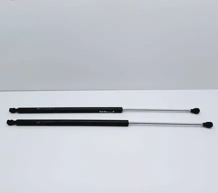 Tailgate/trunk strut/damper