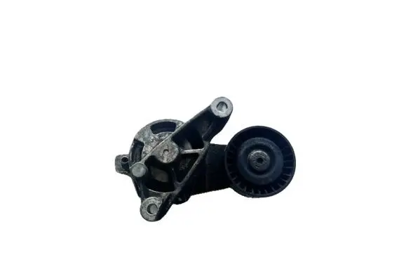 Seat Altea Generator/alternator belt tensioner 030903315