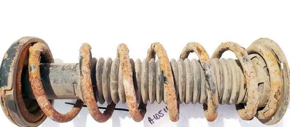 Rear coil spring