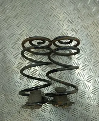 Rear coil spring
