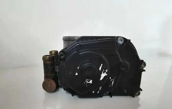 Volkswagen PASSAT B5 Throttle valve 058133063H 408237212002