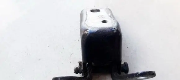 Rear door lower hinge