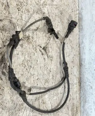 Other wiring loom