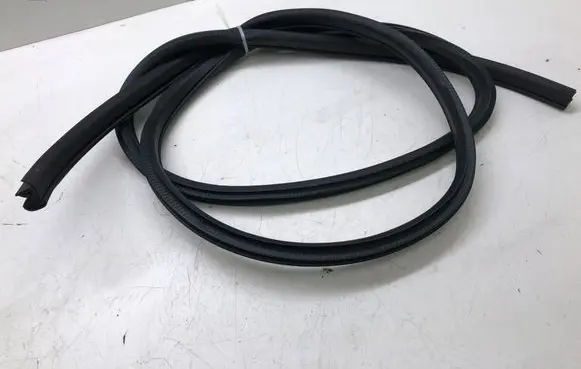 Nissan X-Trail T31 Front door rubber seal