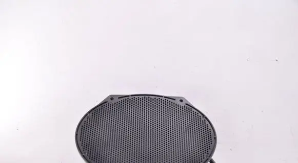 Front door speaker