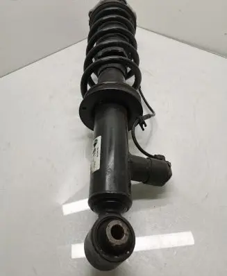 BMW X3 G01 Rear shock absorber/damper 6887152