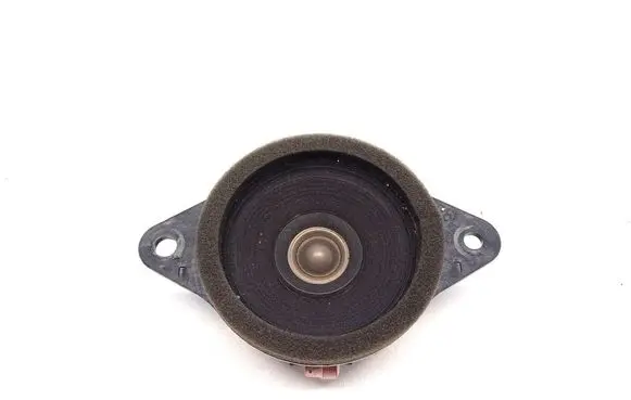 Panel speaker