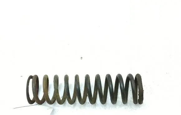 Front coil spring
