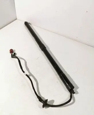 Tailgate/trunk strut/damper