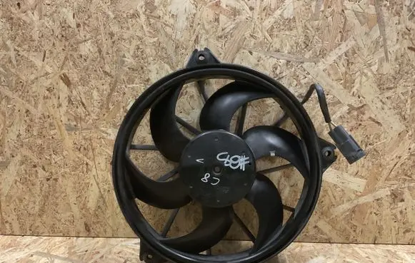 Citroen C8 Electric radiator cooling fan 1494742080