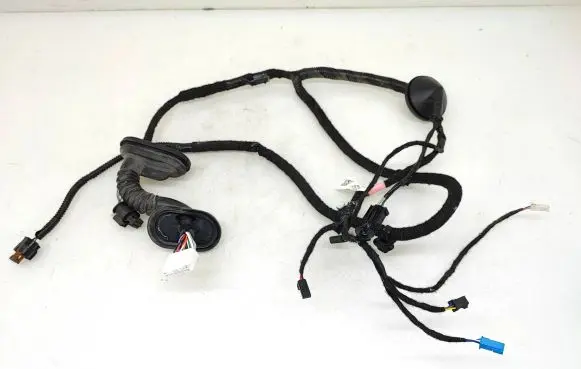Tesla Model 3 Rear door wiring loom 206796500A