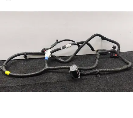 Tesla Model 3 Other wiring loom P148905101D SCNM24079N15781