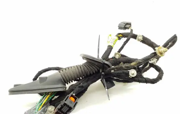 Chevrolet Cruze Front door wiring loom 95196241