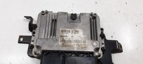 Hyundai i40 Engine control unit/module 391252A235 281030599 5829
