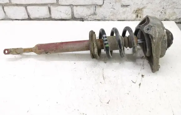 Audi A6 S6 C6 4F Front shock absorber with coil spring
