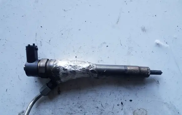 Hyundai i20 (PB PBT) Fuel injector 0445110320